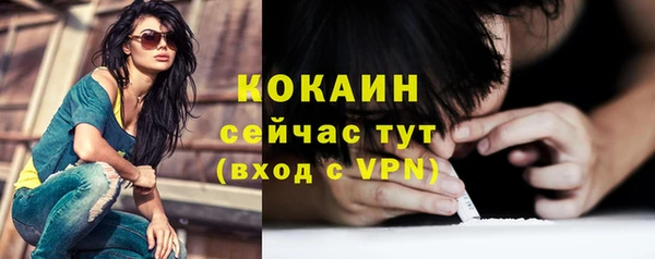 mdpv Каменка