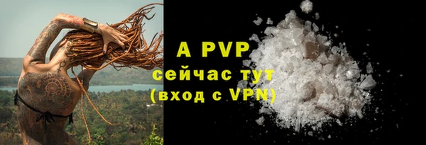 mdpv Каменка