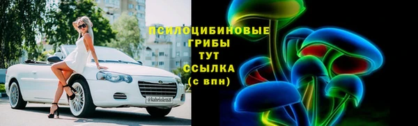 mdpv Каменка
