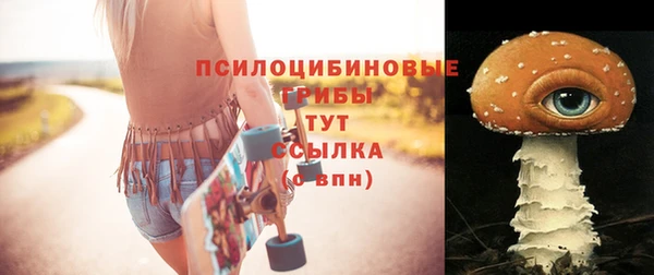 mdpv Каменка