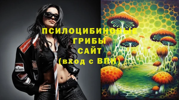 сатива Каменск-Шахтинский