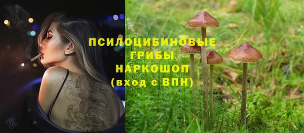 mdpv Каменка