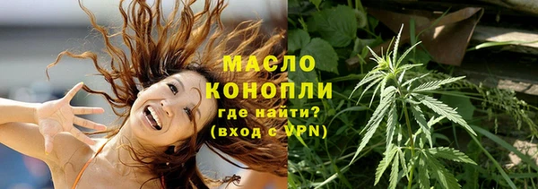 mdpv Каменка